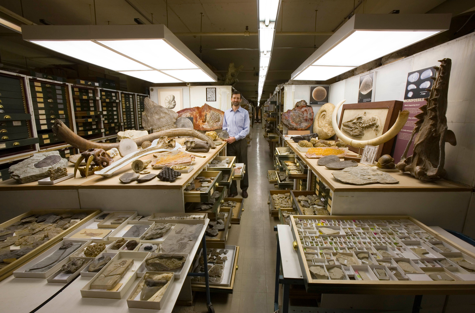 A view of one part of the Paleontology collection in the Smithsonian Institution's National Musuem of Natural History, arranged by the addition of representative specimens from other parts of the three floors of fossils in the East Wing. Staff: Dr. Scott Wing, Chairman of the Department of Paleontology.